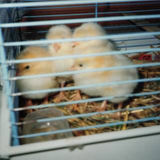Čtenářská soutěž změní vše (2)